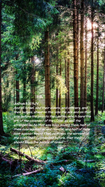 Picture 02 - Joshua 8:33 KJV Mobile Phone Wallpaper - And all Israel, and their elders, and officers, - Mobile Bible Verse Wallpaper