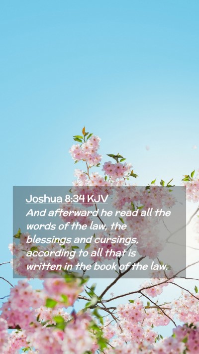 Picture 02 - Joshua 8:34 KJV Mobile Phone Wallpaper - And afterward he read all the words of the law, - Mobile Bible Verse Wallpaper