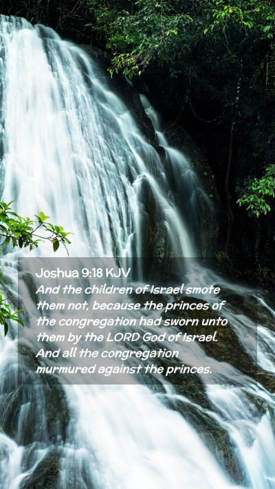 Picture 02 - Joshua 9:18 KJV Mobile Phone Wallpaper - And the children of Israel smote them not, - Mobile Bible Verse Wallpaper