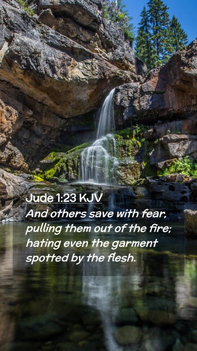 Picture 02 - Jude 1:23 KJV Mobile Phone Wallpaper - And others save with fear, pulling them out of - Mobile Bible Verse Wallpaper