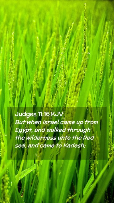 Picture 02 - Judges 11:16 KJV Mobile Phone Wallpaper - But when Israel came up from Egypt, and walked - Mobile Bible Verse Wallpaper