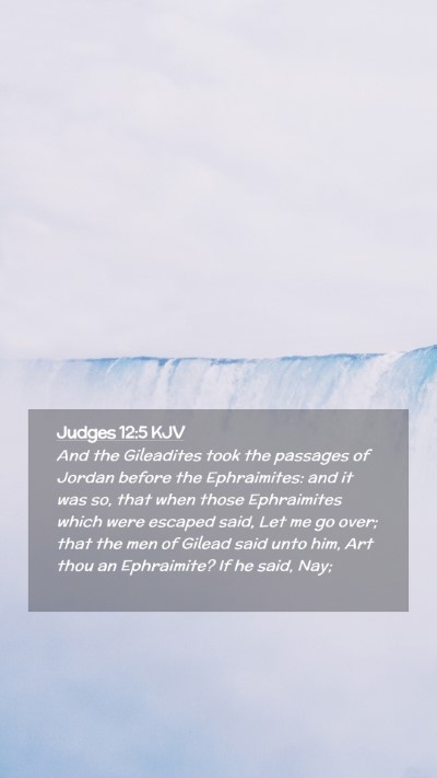 Picture 02 - Judges 12:5 KJV Mobile Phone Wallpaper - And the Gileadites took the passages of Jordan - Mobile Bible Verse Wallpaper