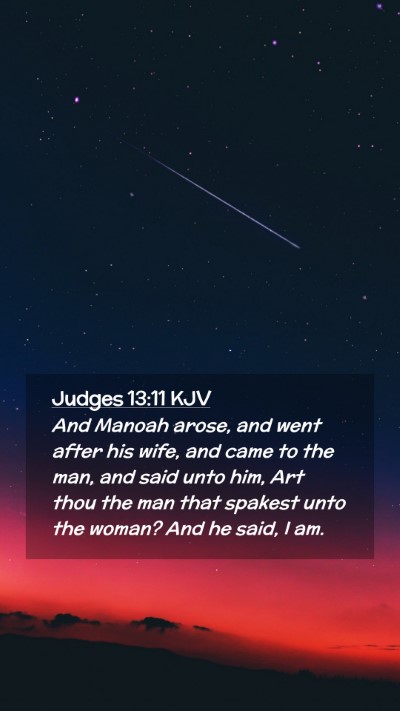 Picture 02 - Judges 13:11 KJV Mobile Phone Wallpaper - And Manoah arose, and went after his wife, and - Mobile Bible Verse Wallpaper