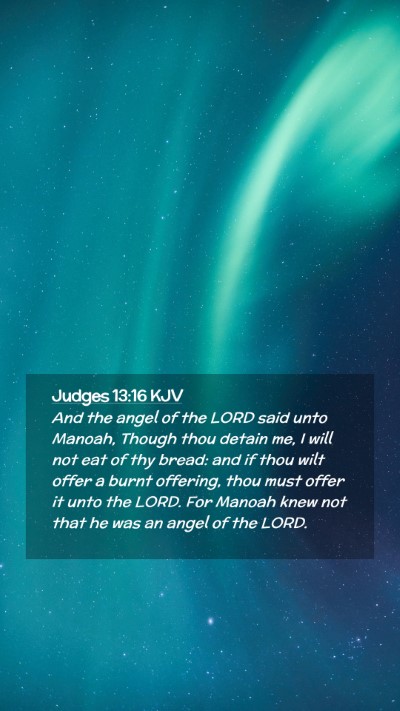 Picture 02 - Judges 13:16 KJV Mobile Phone Wallpaper - And the angel of the LORD said unto Manoah, - Mobile Bible Verse Wallpaper