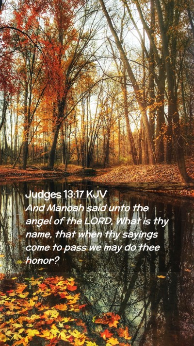 Picture 02 - Judges 13:17 KJV Mobile Phone Wallpaper - And Manoah said unto the angel of the LORD, What - Mobile Bible Verse Wallpaper