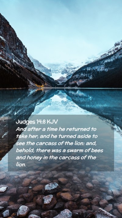 Picture 02 - Judges 14:8 KJV Mobile Phone Wallpaper - And after a time he returned to take her, and he - Mobile Bible Verse Wallpaper