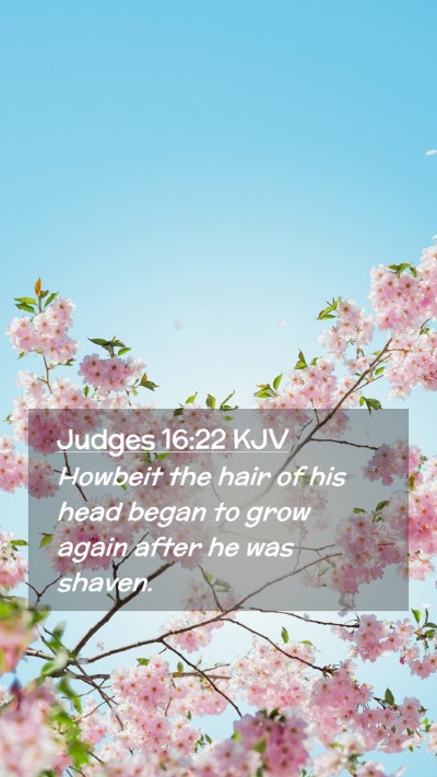 Picture 02 - Judges 16:22 KJV Mobile Phone Wallpaper - Howbeit the hair of his head began to grow again - Mobile Bible Verse Wallpaper