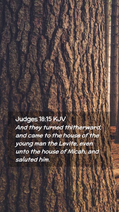 Picture 02 - Judges 18:15 KJV Mobile Phone Wallpaper - And they turned thitherward, and came to the - Mobile Bible Verse Wallpaper