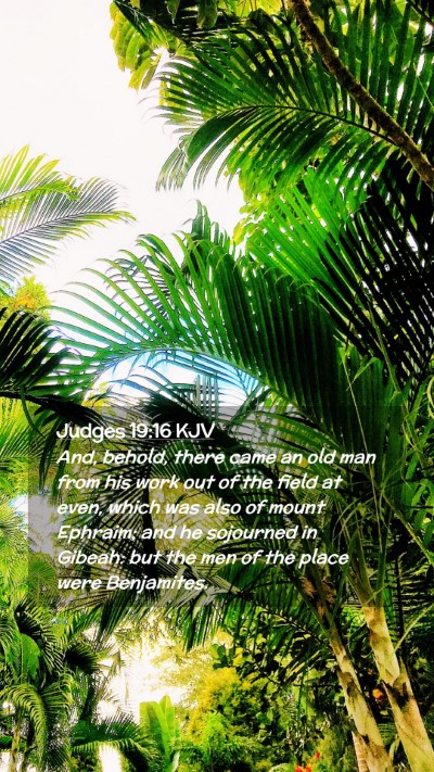 Picture 02 - Judges 19:16 KJV Mobile Phone Wallpaper - And, behold, there came an old man from his work - Mobile Bible Verse Wallpaper