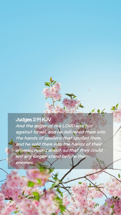 Picture 02 - Judges 2:14 KJV Mobile Phone Wallpaper - And the anger of the LORD was hot against Israel, - Mobile Bible Verse Wallpaper