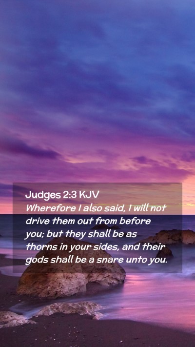 Picture 02 - Judges 2:3 KJV Mobile Phone Wallpaper - Wherefore I also said, I will not drive them out - Mobile Bible Verse Wallpaper