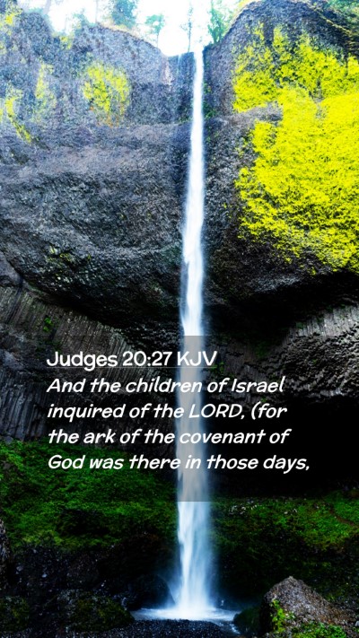 Picture 02 - Judges 20:27 KJV Mobile Phone Wallpaper - And the children of Israel inquired of the LORD, - Mobile Bible Verse Wallpaper