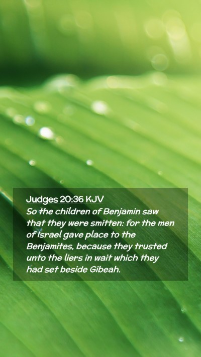 Picture 02 - Judges 20:36 KJV Mobile Phone Wallpaper - So the children of Benjamin saw that they were - Mobile Bible Verse Wallpaper