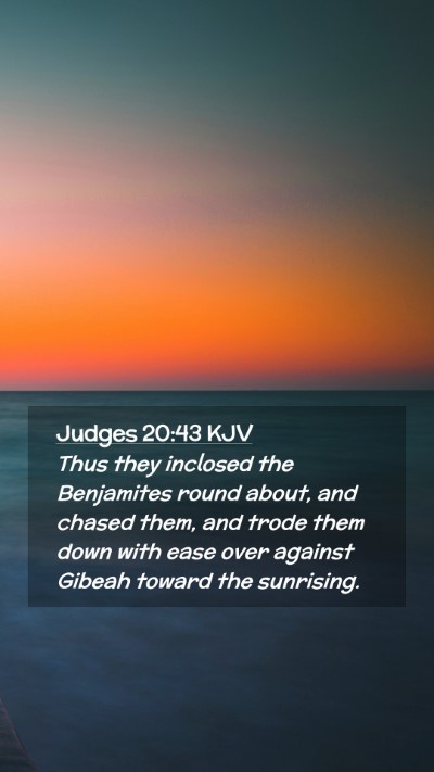 Picture 02 - Judges 20:43 KJV Mobile Phone Wallpaper - Thus they inclosed the Benjamites round about, - Mobile Bible Verse Wallpaper
