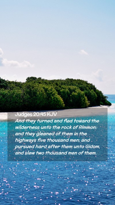 Picture 02 - Judges 20:45 KJV Mobile Phone Wallpaper - And they turned and fled toward the wilderness - Mobile Bible Verse Wallpaper