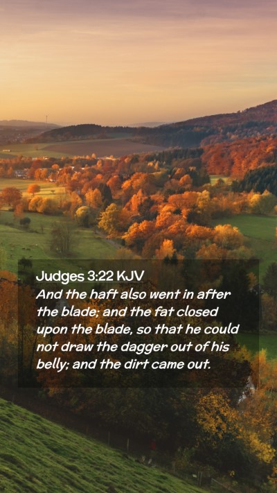 Picture 02 - Judges 3:22 KJV Mobile Phone Wallpaper - And the haft also went in after the blade; and - Mobile Bible Verse Wallpaper