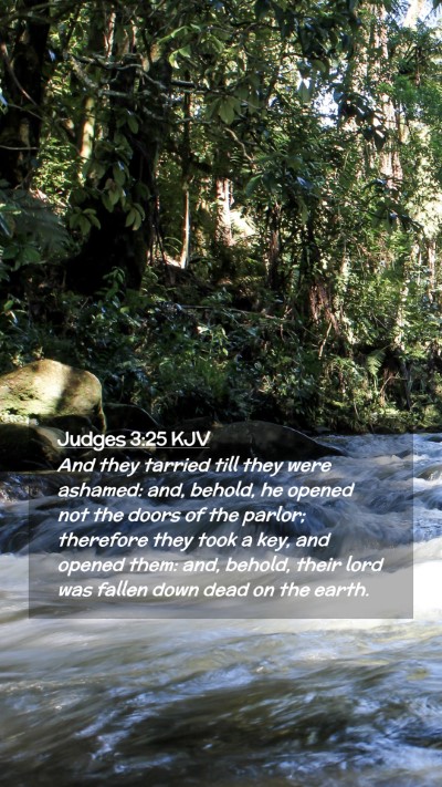 Picture 02 - Judges 3:25 KJV Mobile Phone Wallpaper - And they tarried till they were ashamed: and, - Mobile Bible Verse Wallpaper