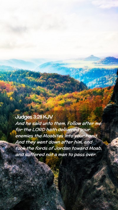 Picture 02 - Judges 3:28 KJV Mobile Phone Wallpaper - And he said unto them, Follow after me: for the - Mobile Bible Verse Wallpaper
