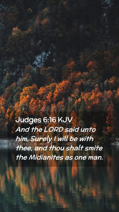 Picture 02 - Judges 6:16 KJV Mobile Phone Wallpaper - And the LORD said unto him, Surely I will be with - Mobile Bible Verse Wallpaper