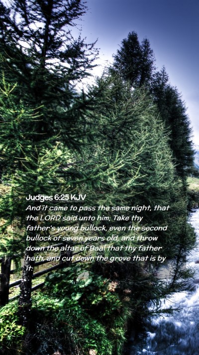 Picture 02 - Judges 6:25 KJV Mobile Phone Wallpaper - And it came to pass the same night, that the LORD - Mobile Bible Verse Wallpaper