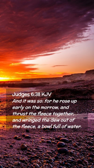 Picture 02 - Judges 6:38 KJV Mobile Phone Wallpaper - And it was so: for he rose up early on the - Mobile Bible Verse Wallpaper