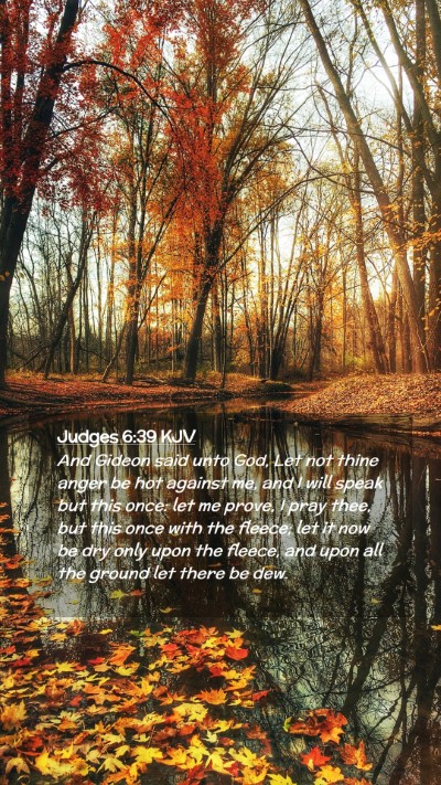 Picture 02 - Judges 6:39 KJV Mobile Phone Wallpaper - And Gideon said unto God, Let not thine anger be - Mobile Bible Verse Wallpaper