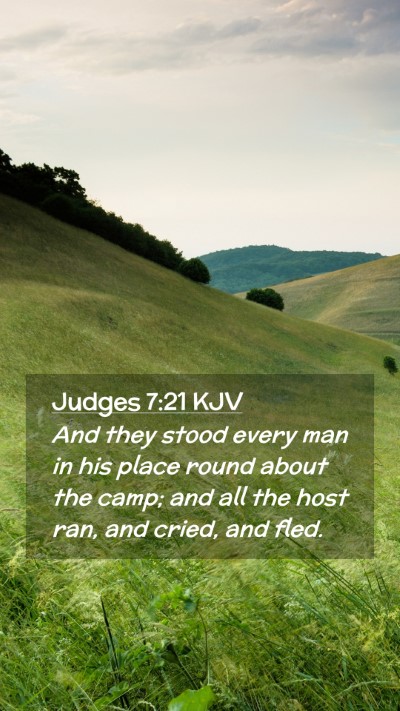 Picture 02 - Judges 7:21 KJV Mobile Phone Wallpaper - And they stood every man in his place round about - Mobile Bible Verse Wallpaper