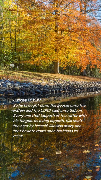 Picture 02 - Judges 7:5 KJV Mobile Phone Wallpaper - So he brought down the people unto the water: and - Mobile Bible Verse Wallpaper
