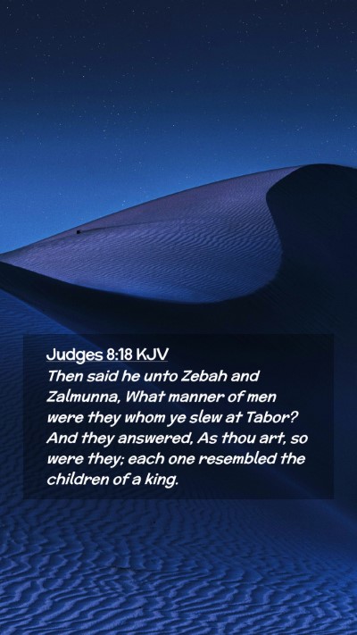 Picture 02 - Judges 8:18 KJV Mobile Phone Wallpaper - Then said he unto Zebah and Zalmunna, What manner - Mobile Bible Verse Wallpaper
