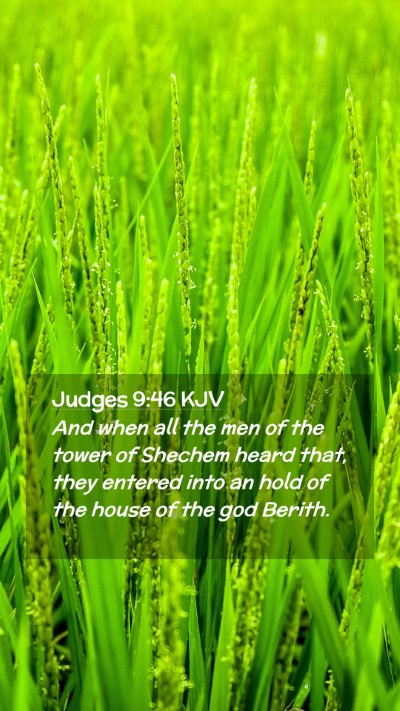Picture 02 - Judges 9:46 KJV Mobile Phone Wallpaper - And when all the men of the tower of Shechem - Mobile Bible Verse Wallpaper