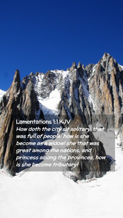 Picture 02 - Lamentations 1:1 KJV Mobile Phone Wallpaper - How doth the city sit solitary, that was full of - Mobile Bible Verse Wallpaper