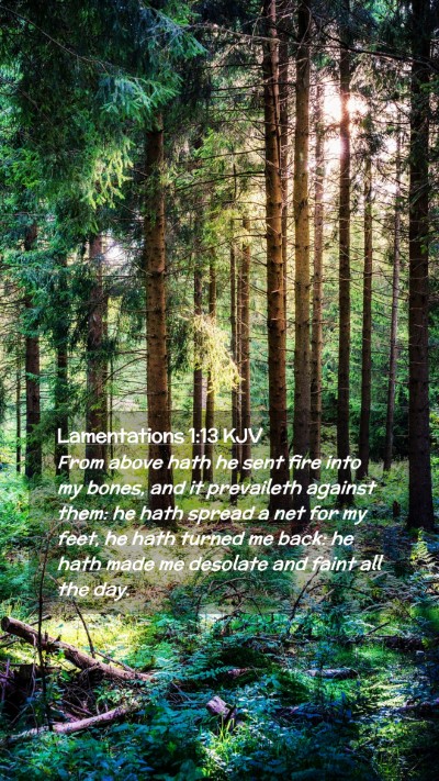 Picture 02 - Lamentations 1:13 KJV Mobile Phone Wallpaper - From above hath he sent fire into my bones, and - Mobile Bible Verse Wallpaper