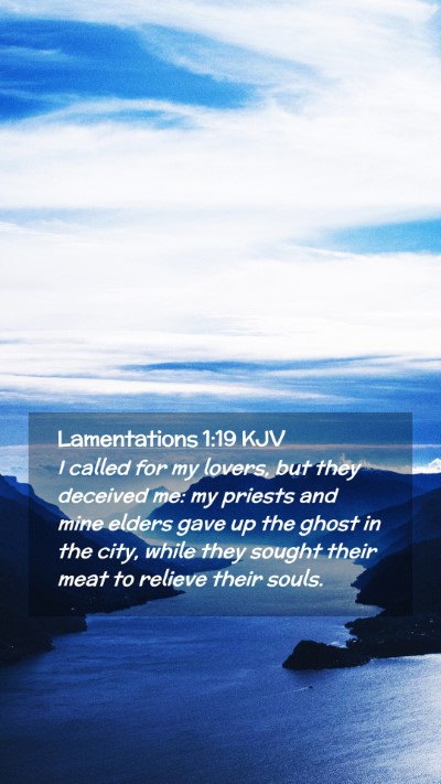Picture 02 - Lamentations 1:19 KJV Mobile Phone Wallpaper - I called for my lovers, but they deceived me: my - Mobile Bible Verse Wallpaper