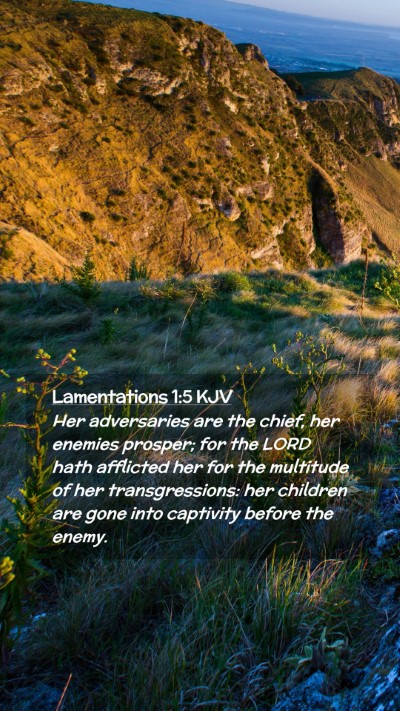 Picture 02 - Lamentations 1:5 KJV Mobile Phone Wallpaper - Her adversaries are the chief, her enemies - Mobile Bible Verse Wallpaper