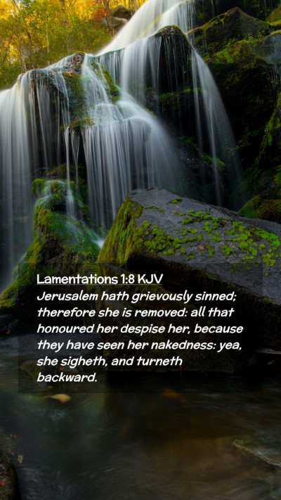 Picture 02 - Lamentations 1:8 KJV Mobile Phone Wallpaper - Jerusalem hath grievously sinned; therefore she - Mobile Bible Verse Wallpaper