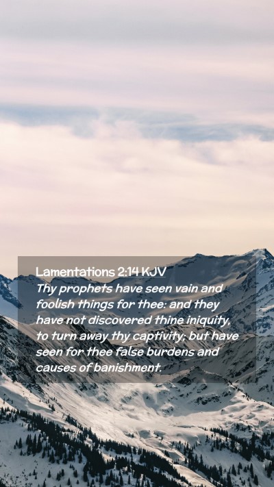 Picture 02 - Lamentations 2:14 KJV Mobile Phone Wallpaper - Thy prophets have seen vain and foolish things - Mobile Bible Verse Wallpaper