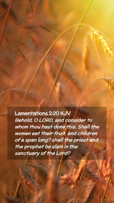 Picture 02 - Lamentations 2:20 KJV Mobile Phone Wallpaper - Behold, O LORD, and consider to whom thou hast - Mobile Bible Verse Wallpaper