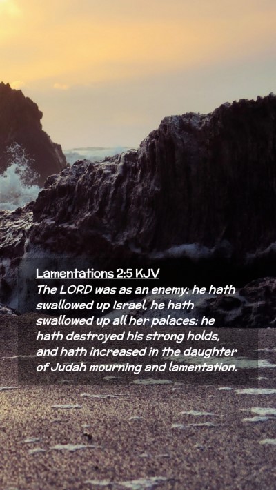 Picture 02 - Lamentations 2:5 KJV Mobile Phone Wallpaper - The LORD was as an enemy: he hath swallowed up - Mobile Bible Verse Wallpaper