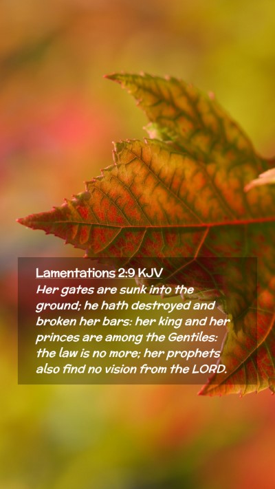 Picture 02 - Lamentations 2:9 KJV Mobile Phone Wallpaper - Her gates are sunk into the ground; he hath - Mobile Bible Verse Wallpaper