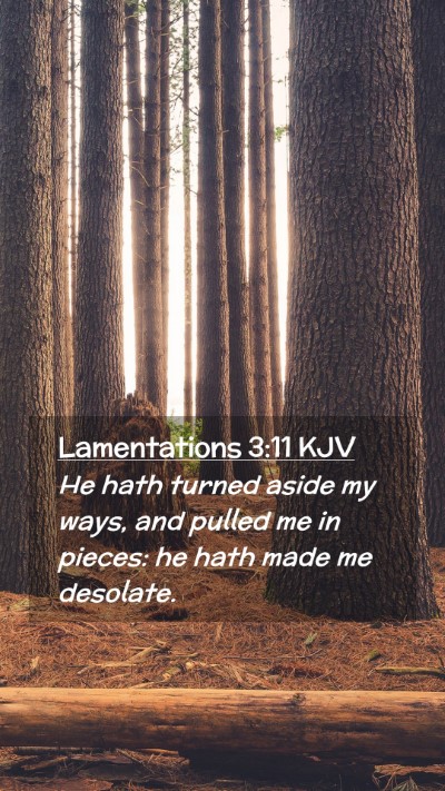 Picture 02 - Lamentations 3:11 KJV Mobile Phone Wallpaper - He hath turned aside my ways, and pulled me in - Mobile Bible Verse Wallpaper