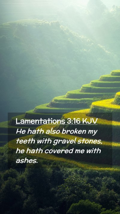 Picture 02 - Lamentations 3:16 KJV Mobile Phone Wallpaper - He hath also broken my teeth with gravel stones, - Mobile Bible Verse Wallpaper