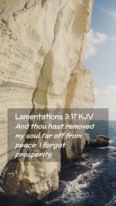 Picture 02 - Lamentations 3:17 KJV Mobile Phone Wallpaper - And thou hast removed my soul far off from peace: - Mobile Bible Verse Wallpaper