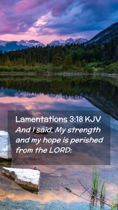 Picture 02 - Lamentations 3:18 KJV Mobile Phone Wallpaper - And I said, My strength and my hope is perished - Mobile Bible Verse Wallpaper