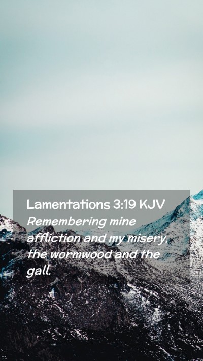 Picture 02 - Lamentations 3:19 KJV Mobile Phone Wallpaper - Remembering mine affliction and my misery, the - Mobile Bible Verse Wallpaper