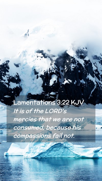 Picture 02 - Lamentations 3:22 KJV Mobile Phone Wallpaper - It is of the LORD's mercies that we are not - Mobile Bible Verse Wallpaper