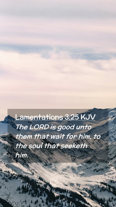 Picture 02 - Lamentations 3:25 KJV Mobile Phone Wallpaper - The LORD is good unto them that wait for him, to - Mobile Bible Verse Wallpaper