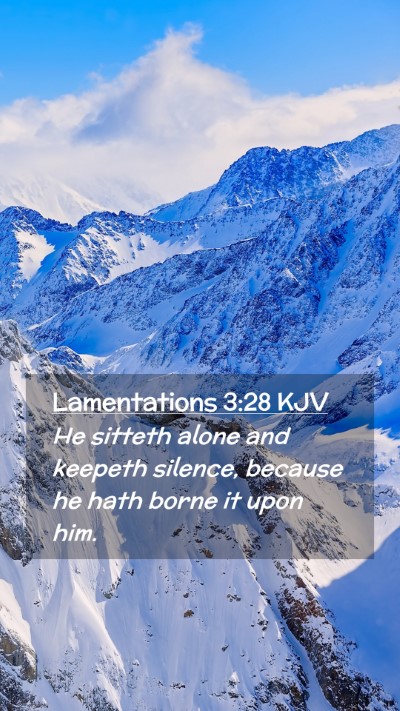 Picture 02 - Lamentations 3:28 KJV Mobile Phone Wallpaper - He sitteth alone and keepeth silence, because he - Mobile Bible Verse Wallpaper