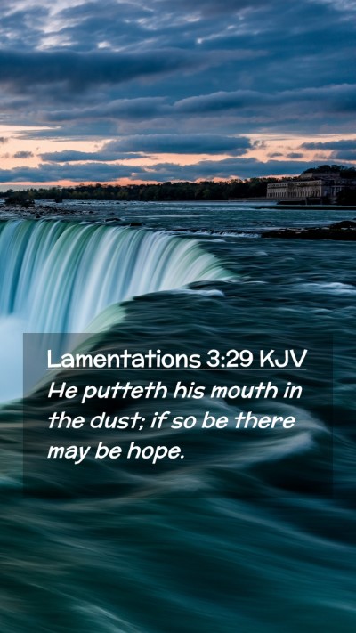Picture 02 - Lamentations 3:29 KJV Mobile Phone Wallpaper - He putteth his mouth in the dust; if so be there - Mobile Bible Verse Wallpaper