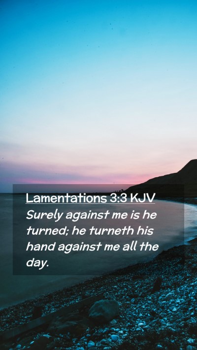 Picture 02 - Lamentations 3:3 KJV Mobile Phone Wallpaper - Surely against me is he turned; he turneth his - Mobile Bible Verse Wallpaper