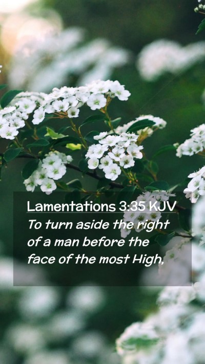 Picture 02 - Lamentations 3:35 KJV Mobile Phone Wallpaper - To turn aside the right of a man before the face - Mobile Bible Verse Wallpaper